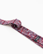 Burgundy Paisley Patterned Tie Set