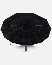 Souvenir Fully Automatic 12-Rib Umbrella With Light