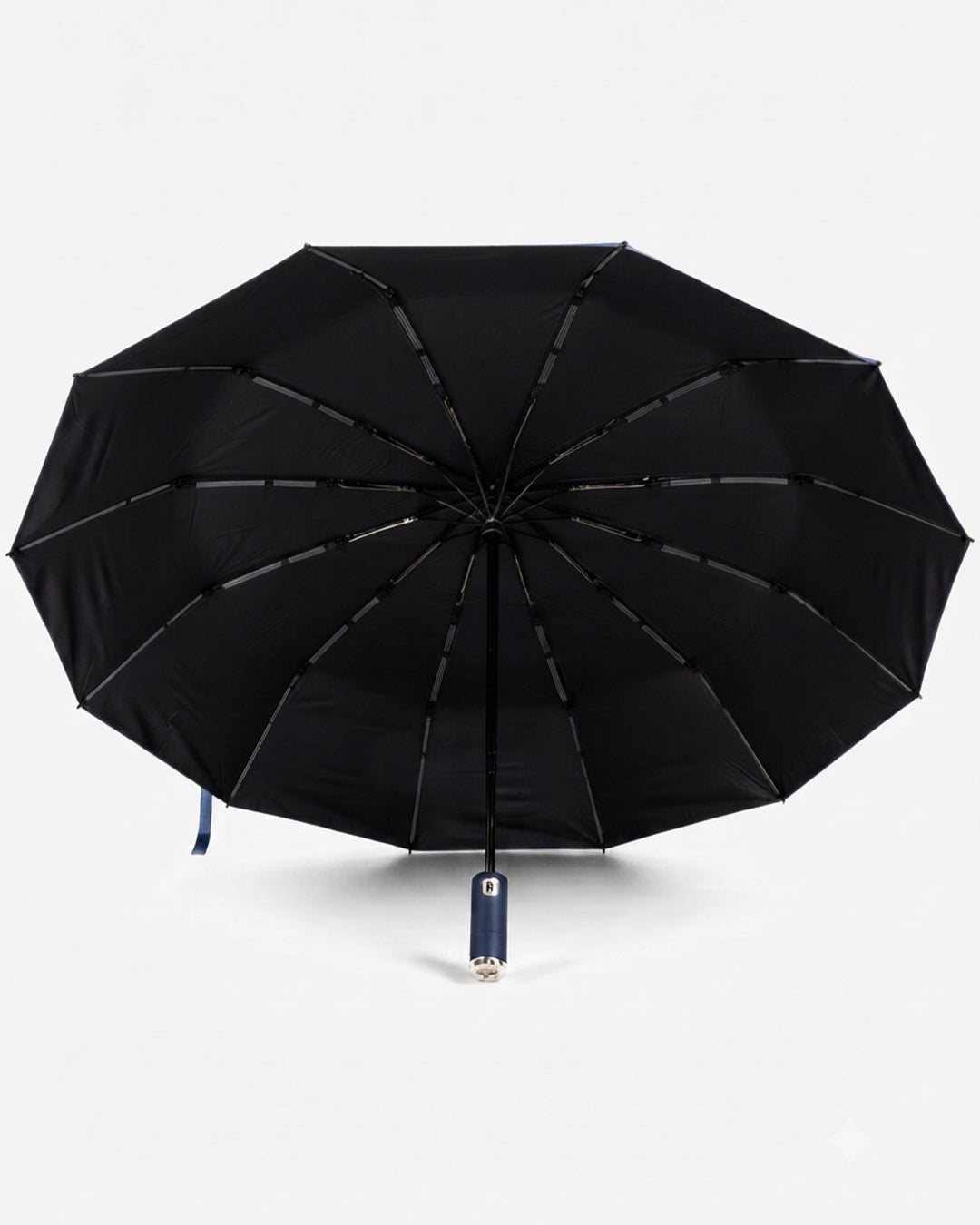Souvenir Fully Automatic 12-Rib Umbrella With Light