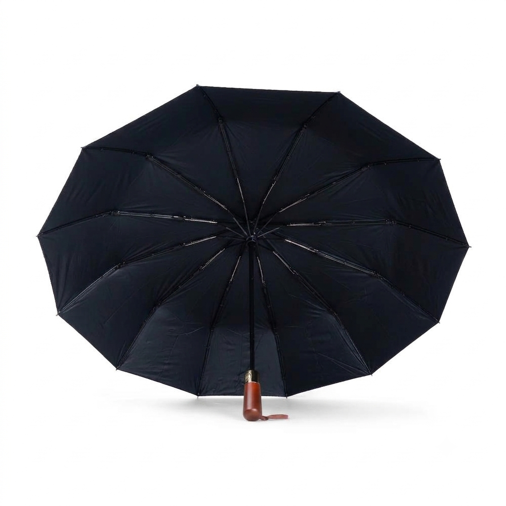 Souvenir Fully Automatic 12-Rib Umbrella