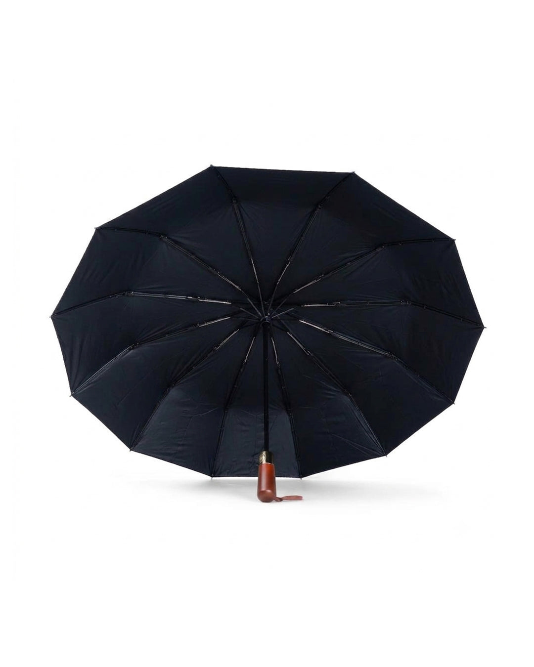 Souvenir Fully Automatic 12-Rib Umbrella