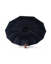 Souvenir Fully Automatic 12-Rib Umbrella
