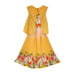 Girls frock Indian