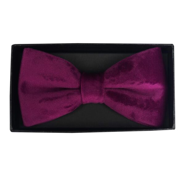 bow tie