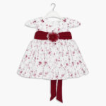 Girls Fancy Frock